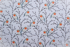 Dressikangas_pajuoksad_linnud