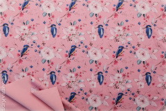 Softshell_vanaroosal_lilled_linnud