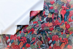 Softshell_bordoo