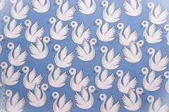 Softshell_luiged_sinisel