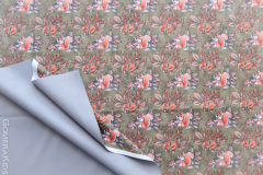 Softshell_oravad_pastelsel