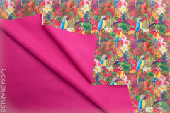 Softshell_papagoid_roosal