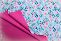 Softshell_vaiksed_linnukesed